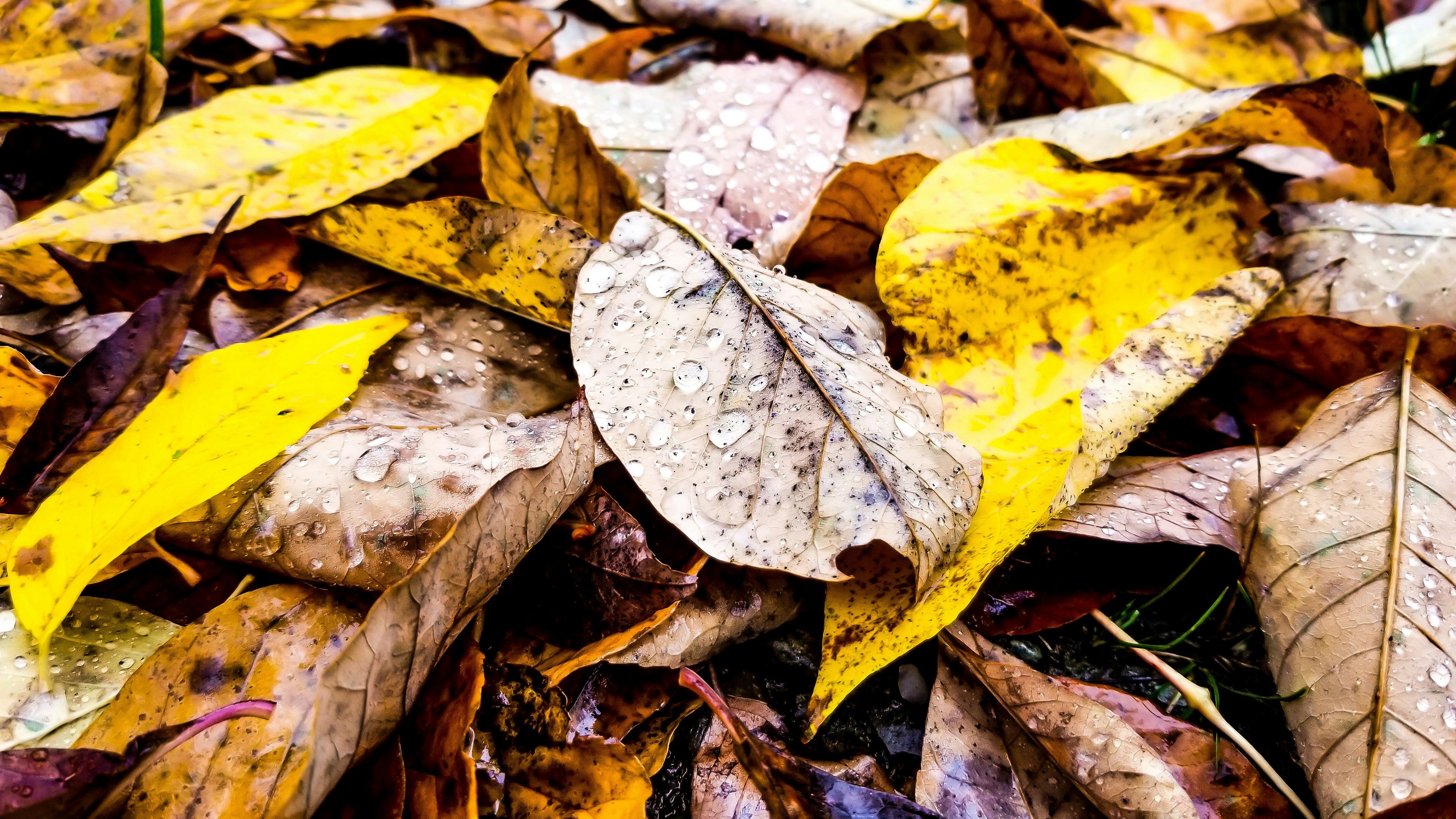 Mark Joubert (@mejoubert) | Unsplash 사진 커뮤니티