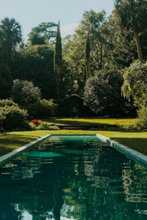 A serene garden with a reflection of the Taj Mahal.