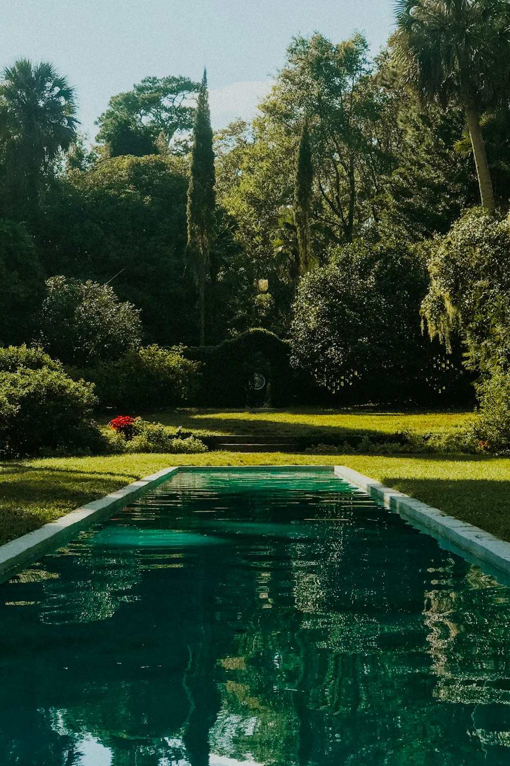 Piscina cerca de árboles y pastos