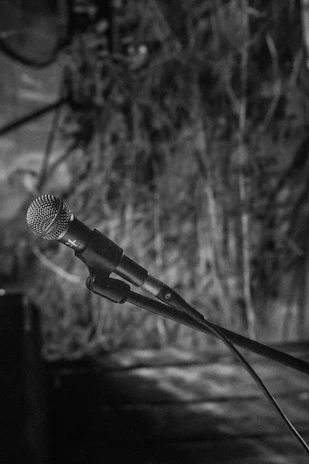 A close-up of a microphone and stage setup before a live performance.