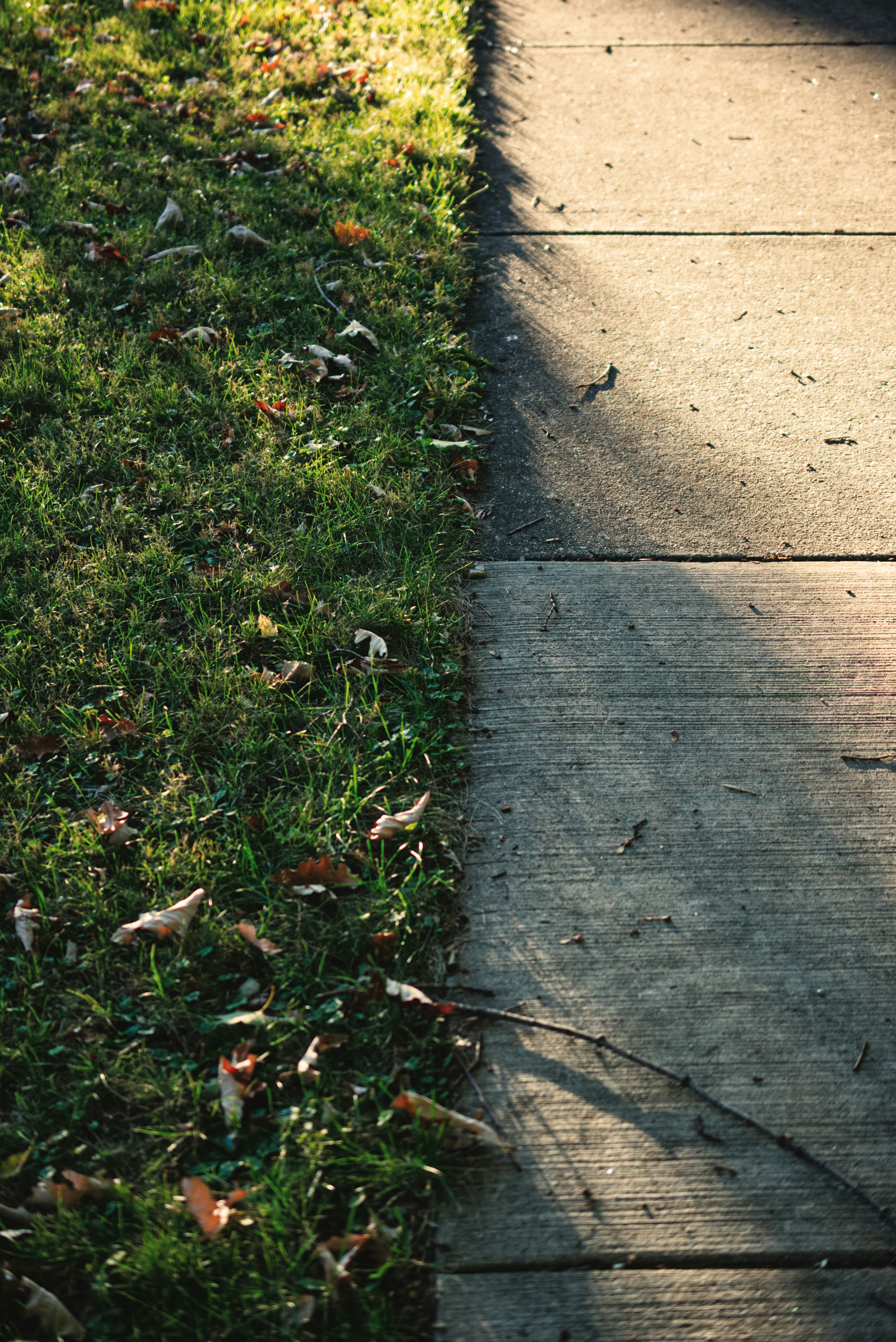 Photo by ldpeterson11