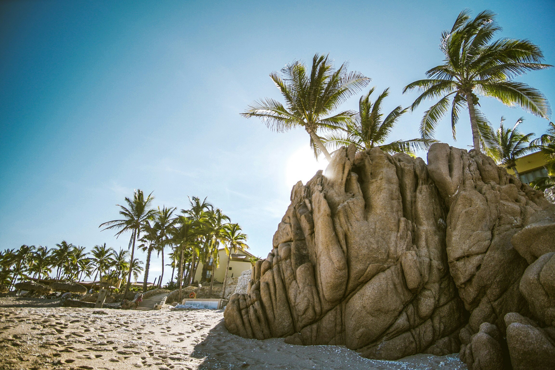 Formación rocosa marrón cerca de cocoteros