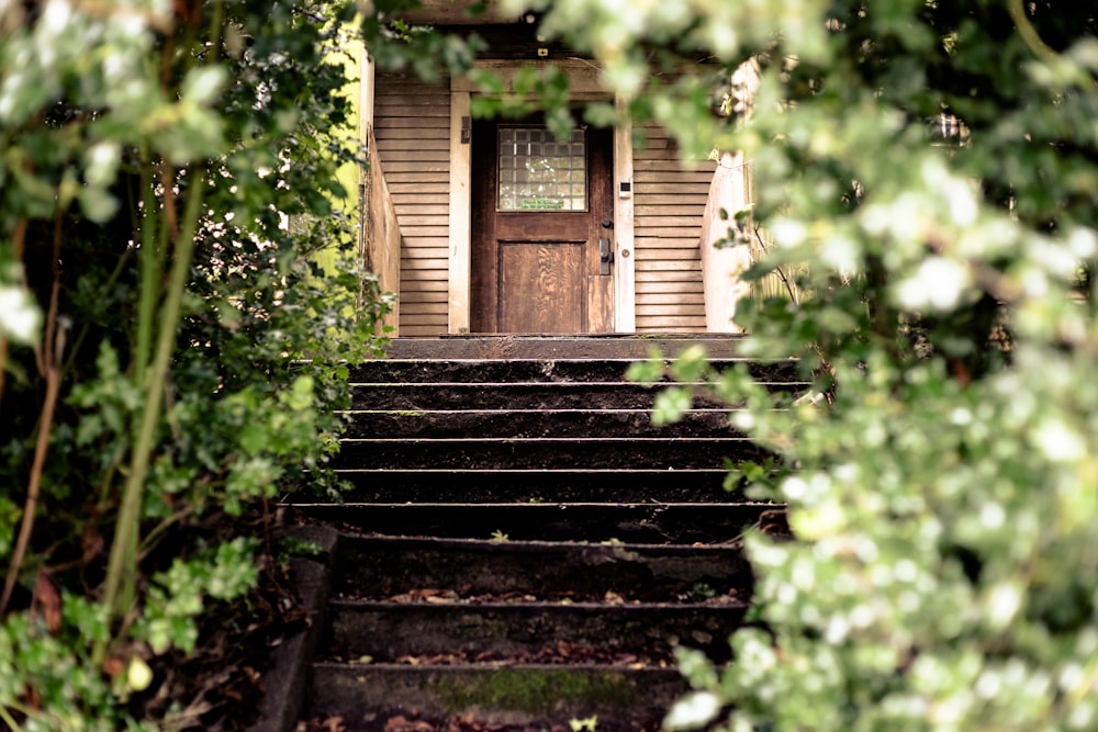 stairs towards brown door