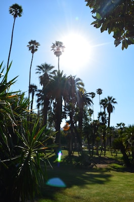 Photo 1539840593239 F1d857f51a21?q=85&w=700&h=400&fit=crop