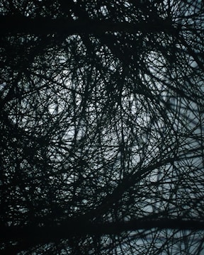 A intricate network of tangled, dark branches or wires creating a complex pattern against a lighter background, giving a sense of depth and intricacy.