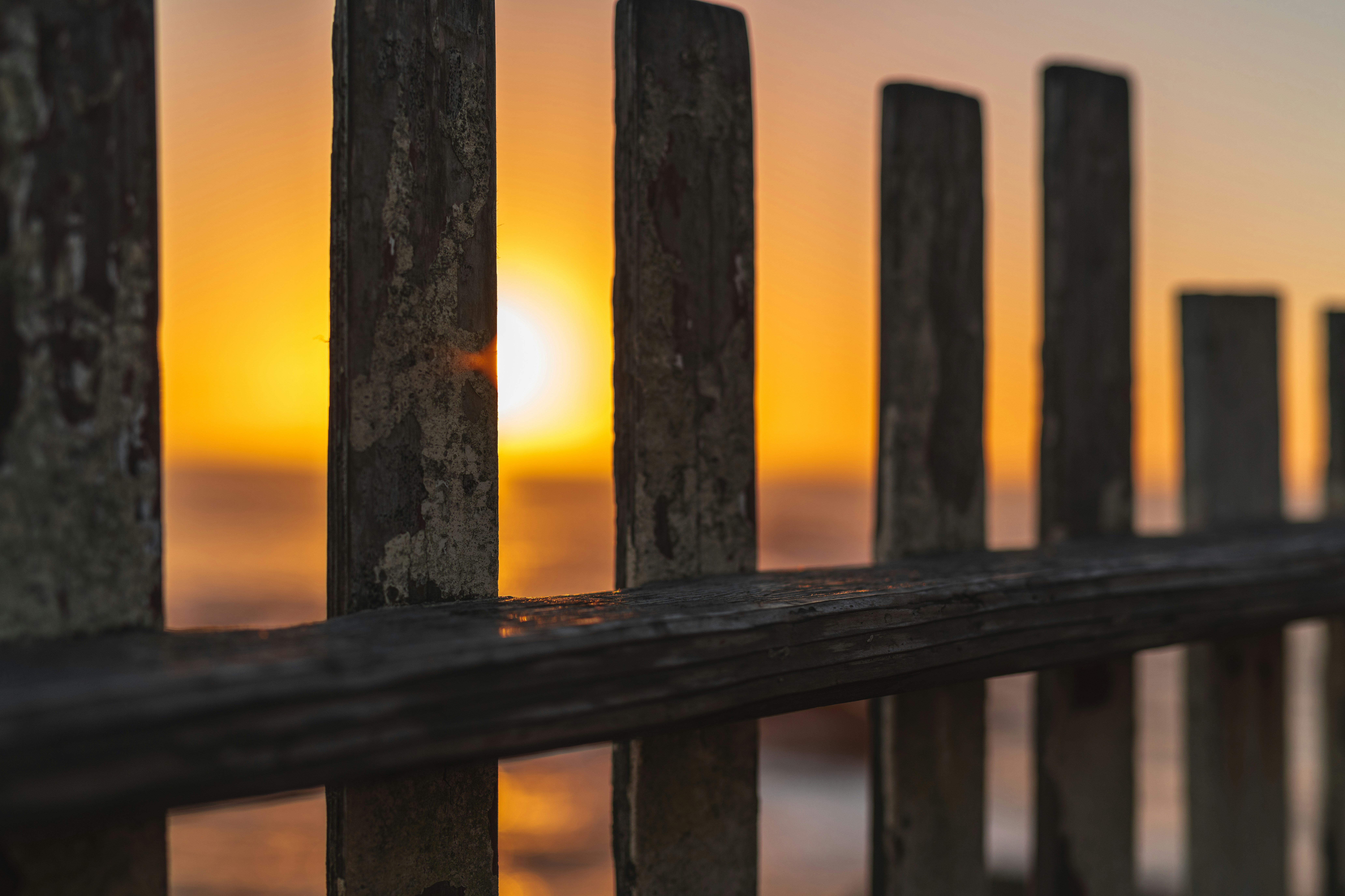 Photo by hariprasad000