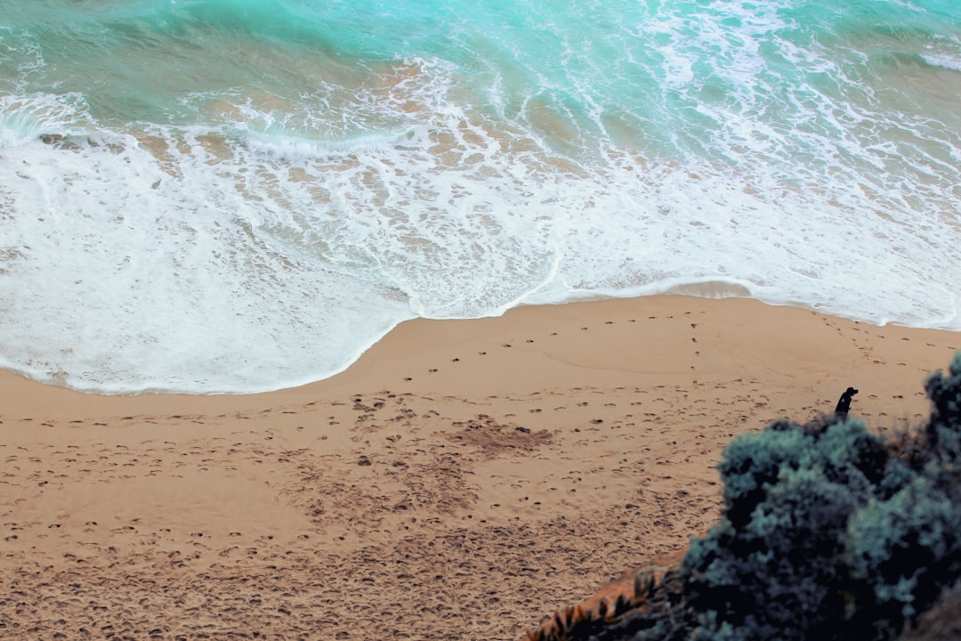 Beach photo spot Great Ocean Road Twelve Apostles