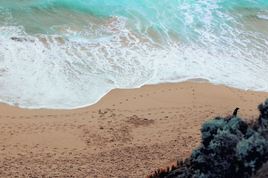 waves crashing shore during daytime in Great Ocean Road Australia