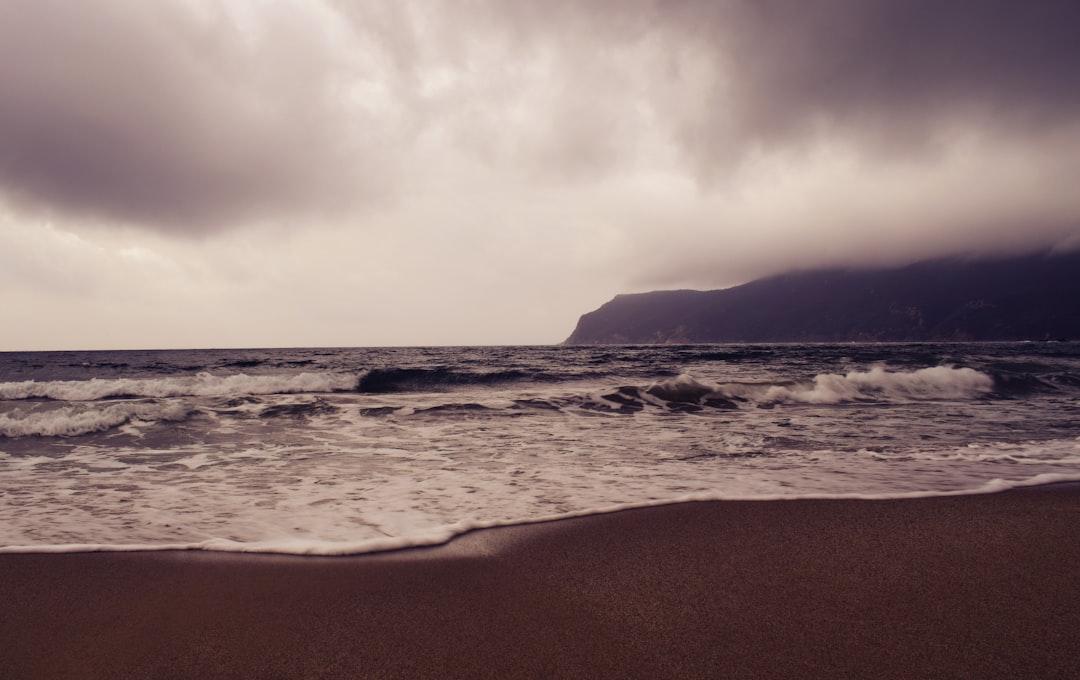 Beach photo spot Lacona Spiagge Bianche Rosignano