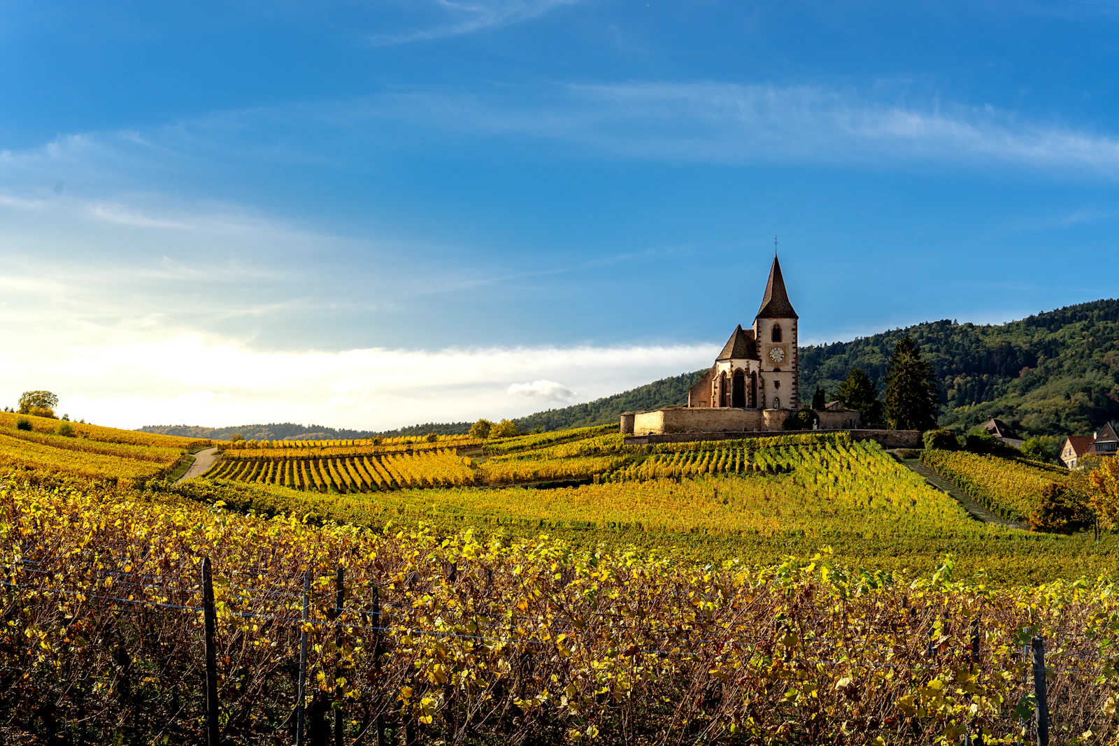 A chapel among the vineyards above the village — Riquewihr, France