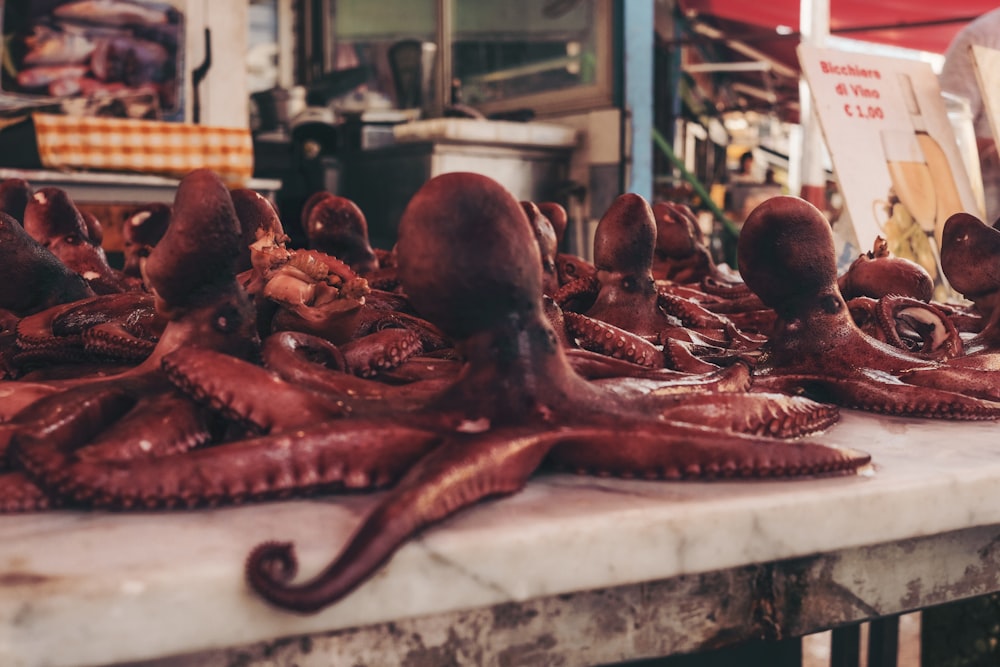 octopus on the table