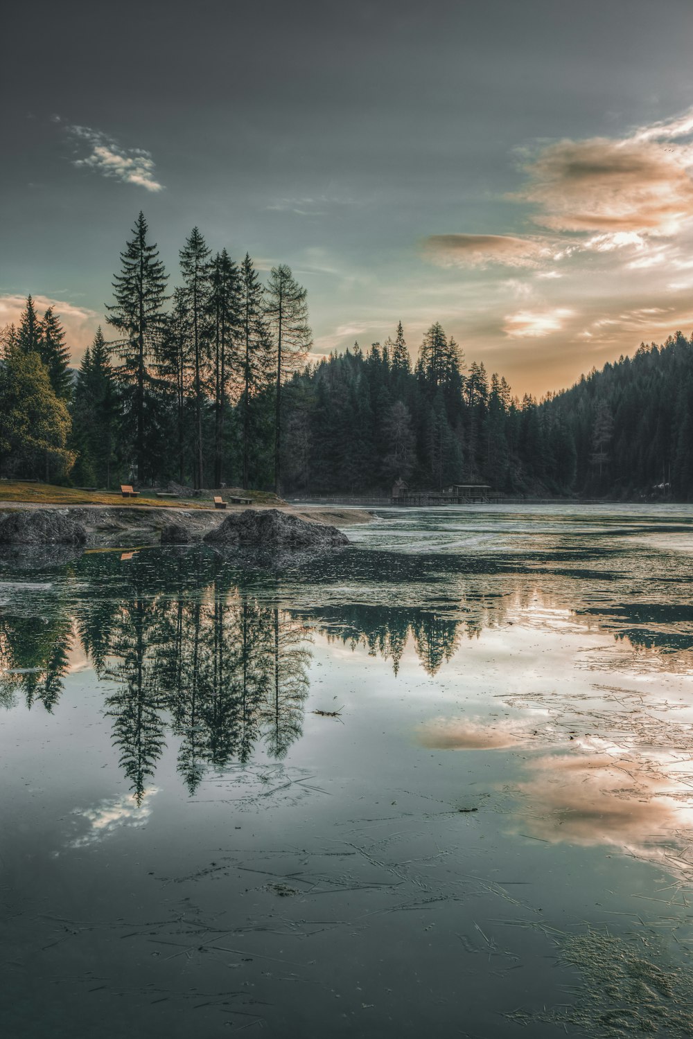 Riflessione sugli alberi verdi sullo specchio d'acqua durante l'ora d'oro