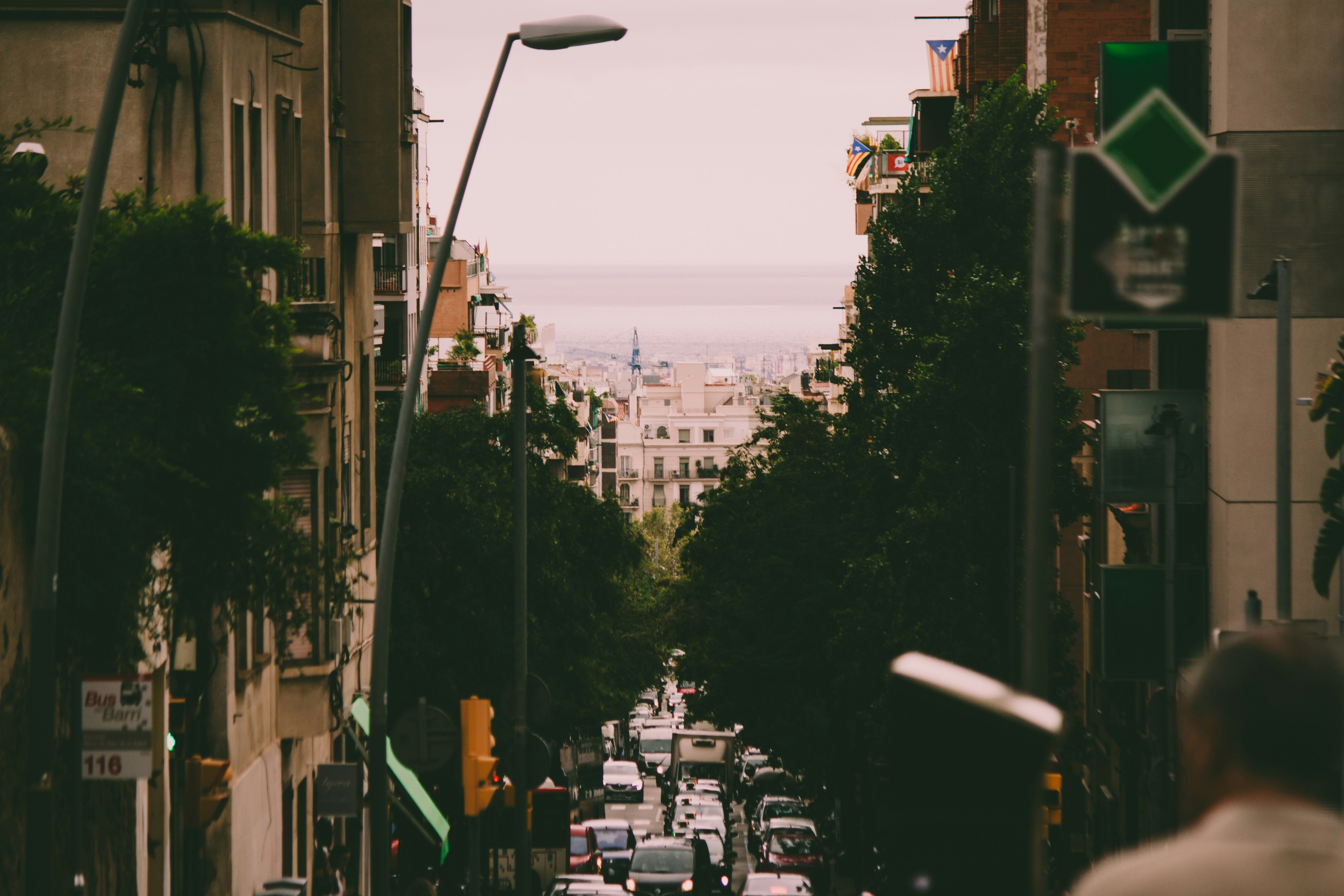 Photo by alexkurchev