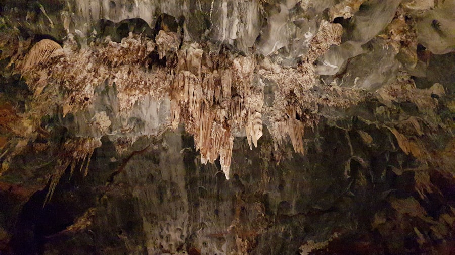 Lucayan cave interior with stalactites