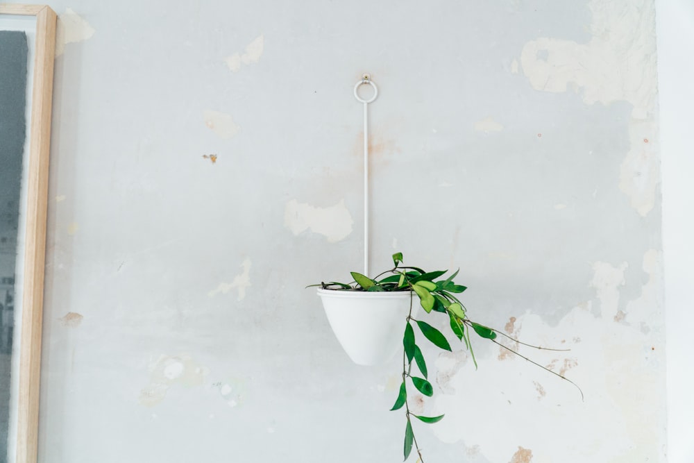 white hanging pot