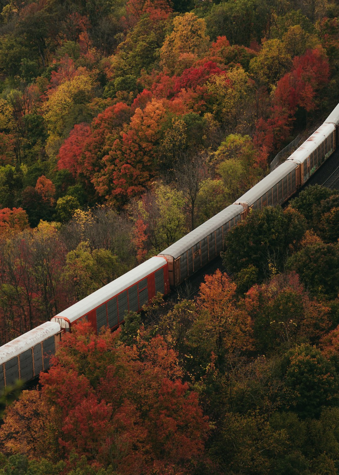 Bridge photo spot Dundas Peak East Gwillimbury