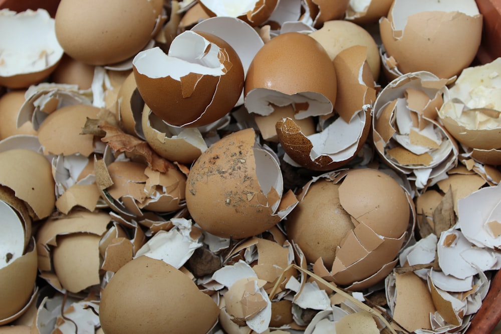 pile of cracked eggs