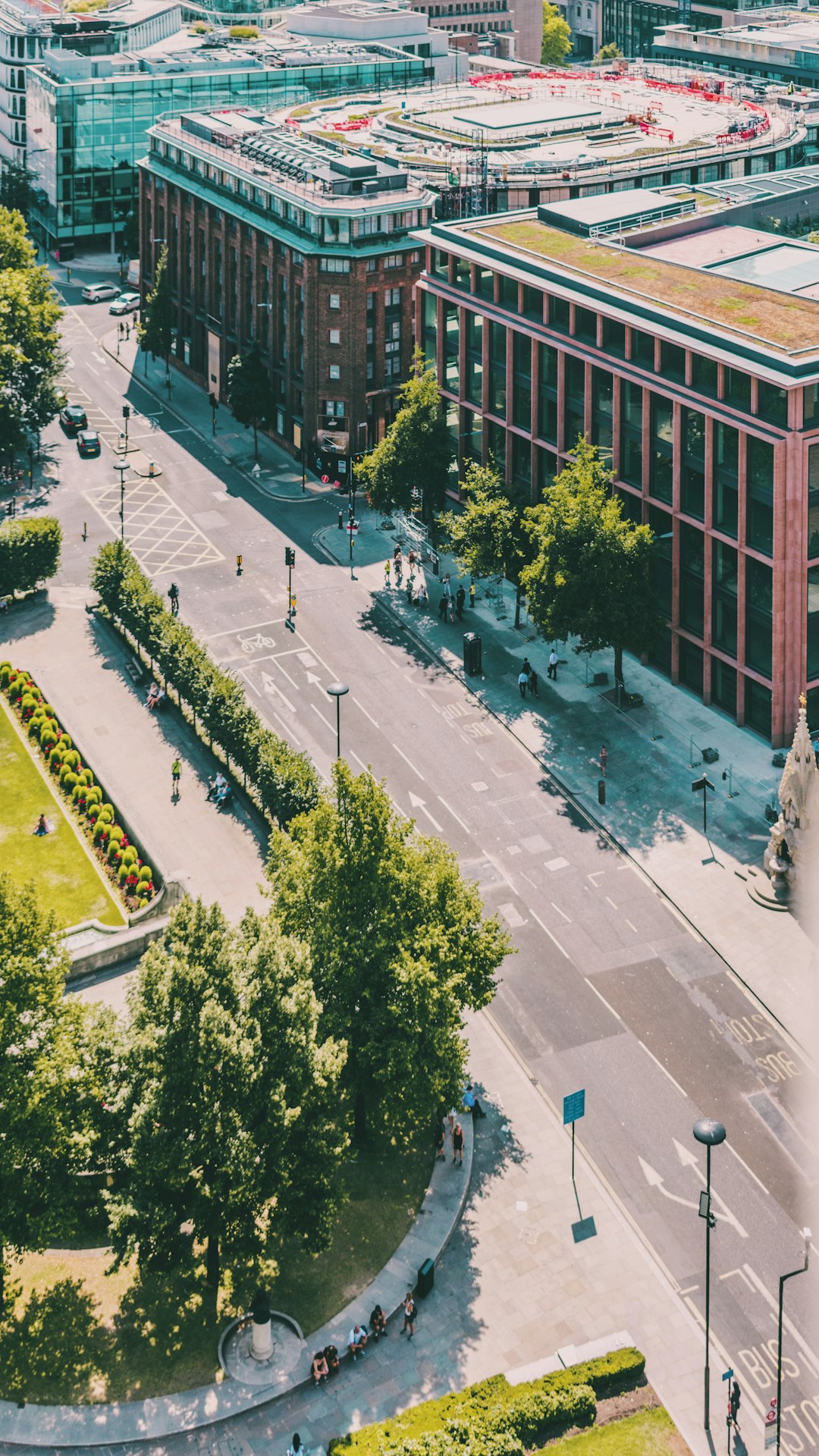 aerial view of green trees and brown building during daytime