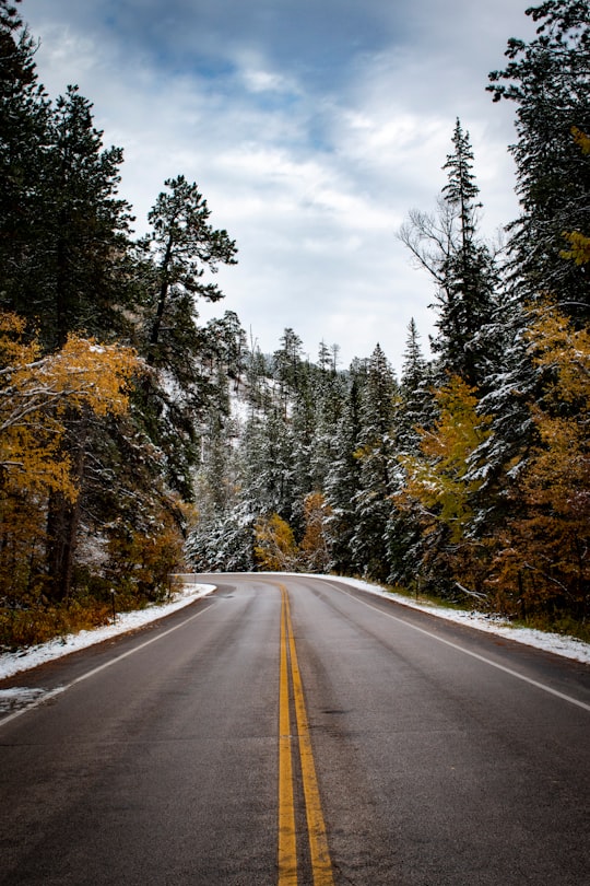 empty road between trees in Spearfish Canyon United States
