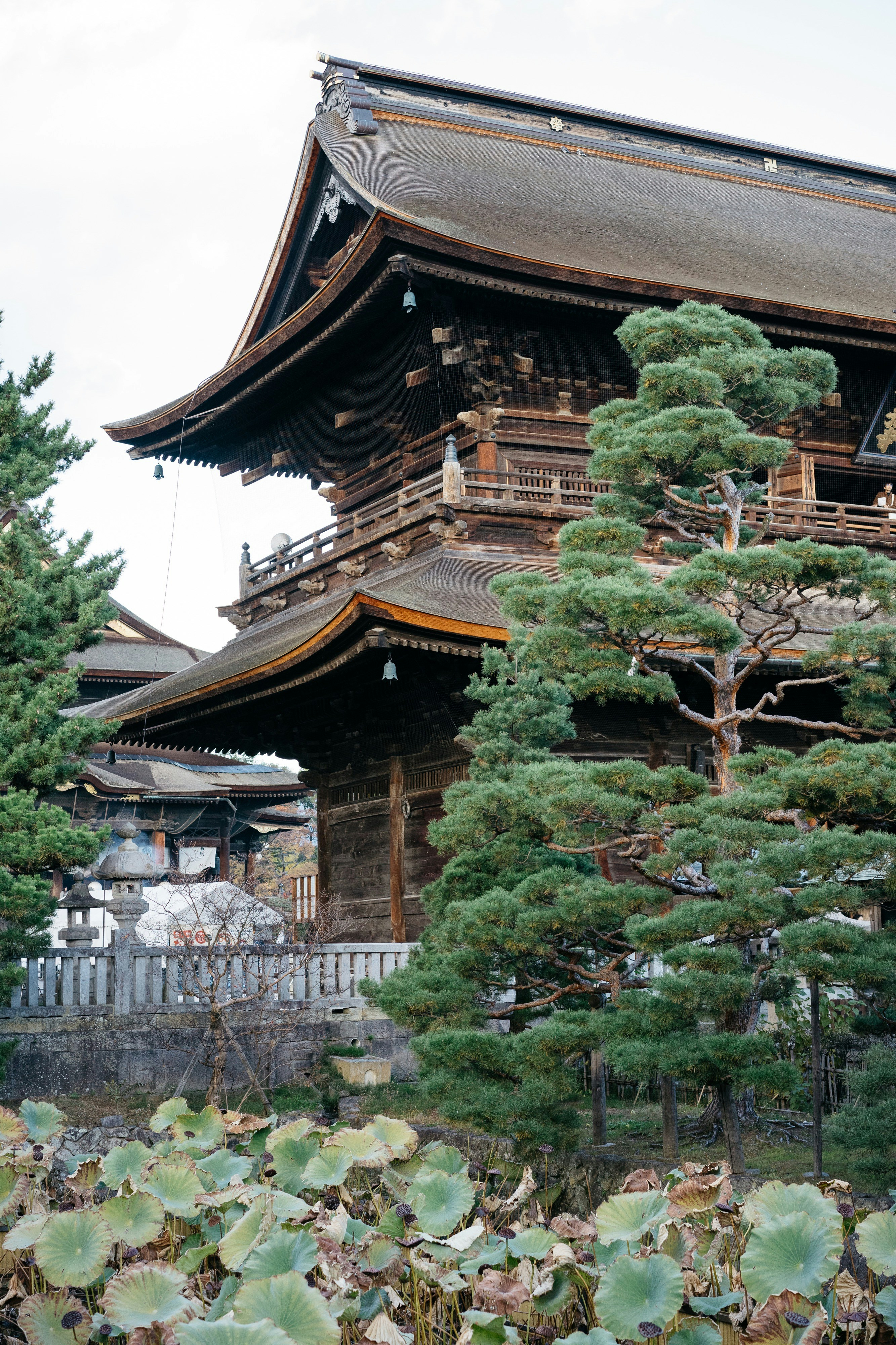 Photo by markuswinkler