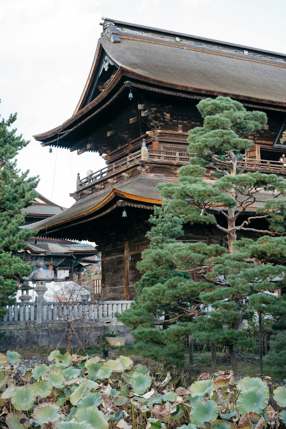 low angle photo of castle beside pine trees