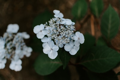 A close-up of delicate wedding flower details on a table.