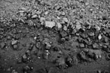A monochrome image depicting a rocky and uneven surface with various sizes of stones spread across it, transitioning from rough to smooth textures toward the bottom.