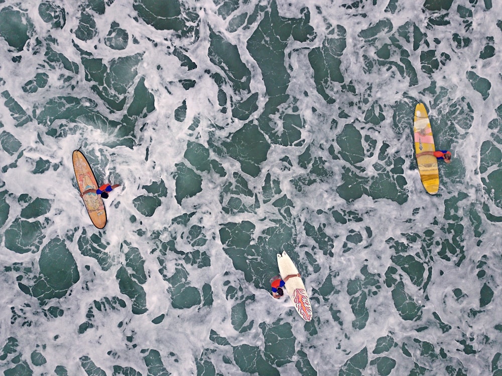 aerial view of people carrying surfboards