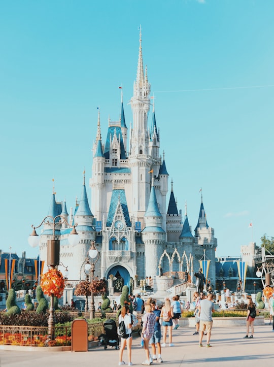 Disney World, Cinderella Castle things to do in Poinciana