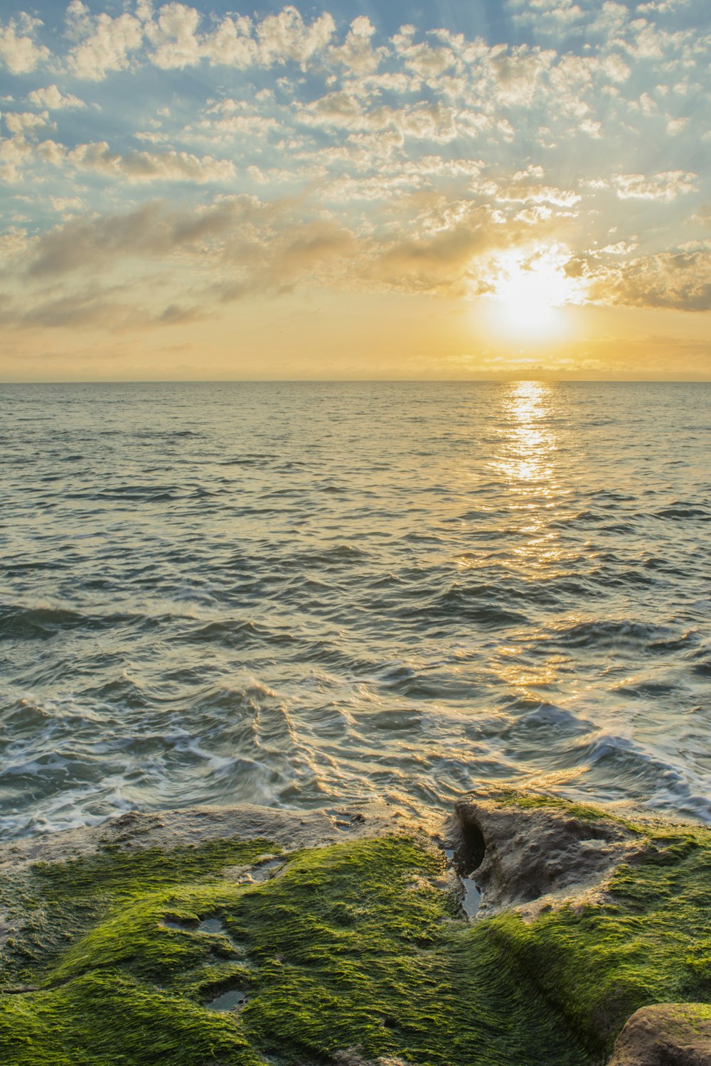 ocean during daytime