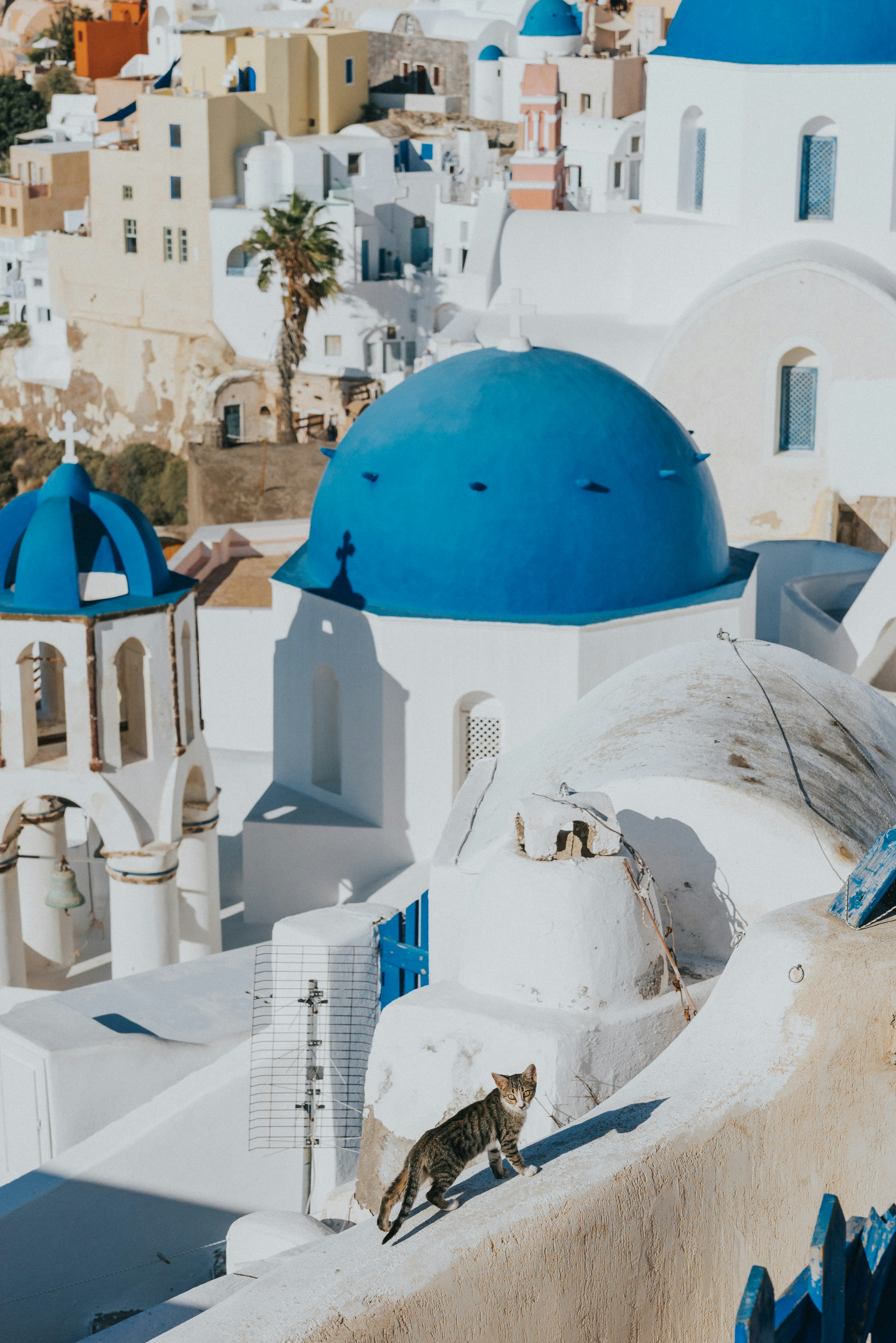 サントリーニ島 ギリシャの写真 Unsplashで見つけるギリシャの無料写真