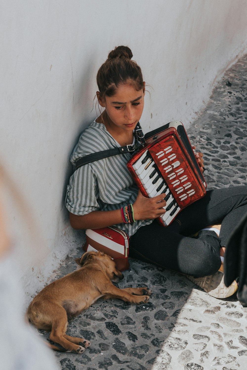 woman playing accordion beside laying dog during daytime