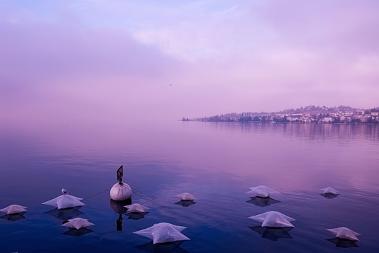 A tranquil lake scene with a misty atmosphere, where the water reflects a soft purple hue. Several floating, pyramid-like structures are visible, surrounding a buoy with a small bird perched on one of them. In the distance, a shoreline with clustered buildings and trees is faintly seen through the mist.