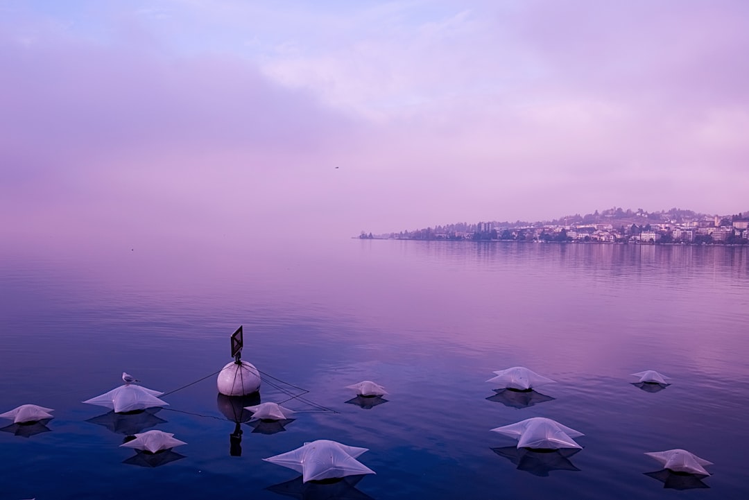 Lake photo spot Montreux Längenbühl