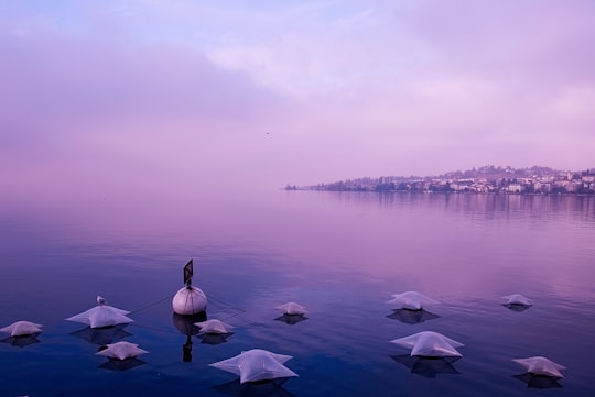 calm body of water in Montreux Switzerland