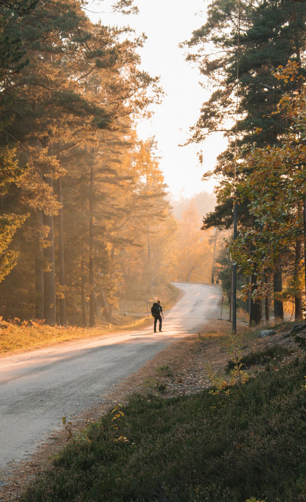 person between trees during daytime