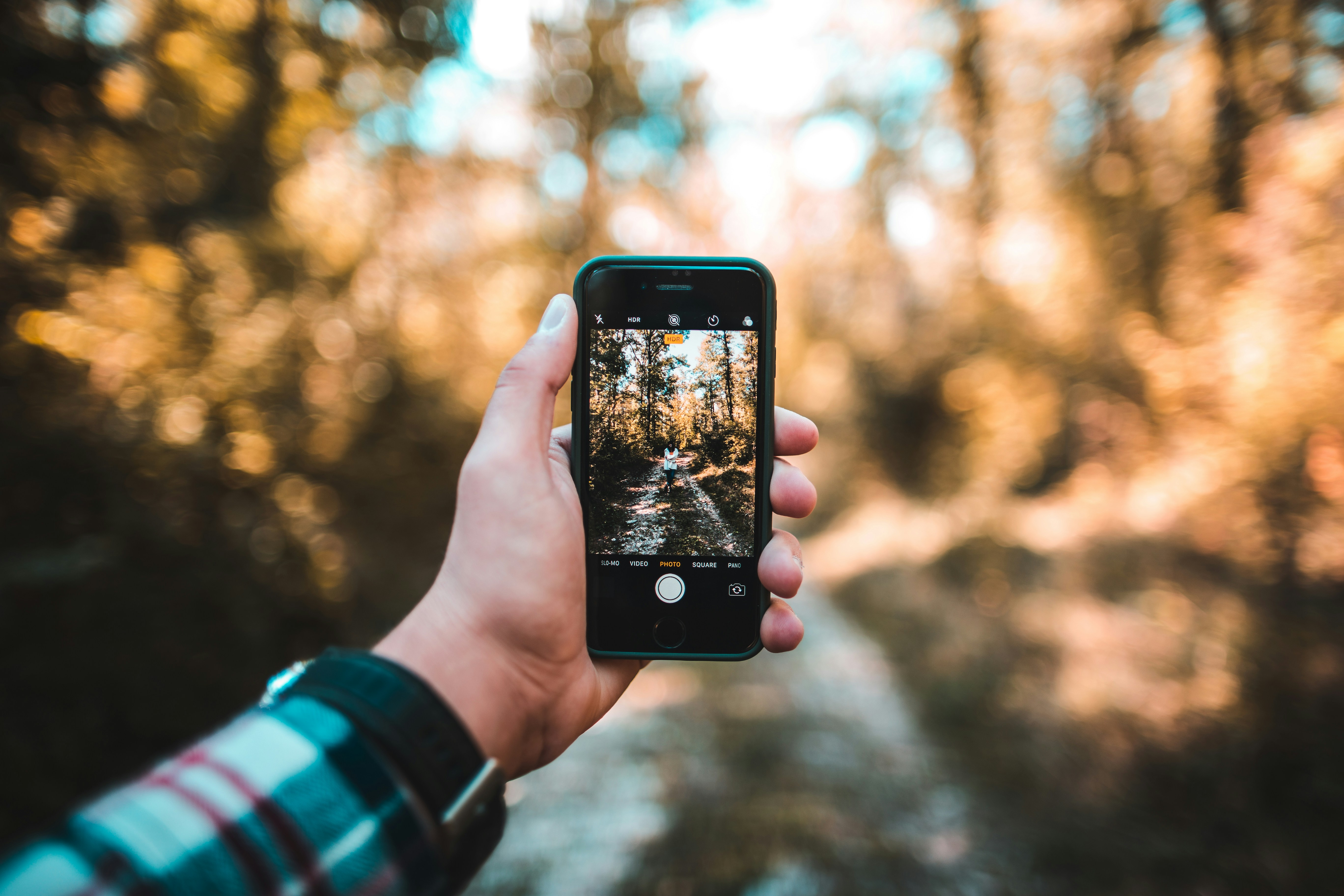 Photo by andreipanfi