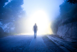silhouette photo of person standing on gray concrete pavement