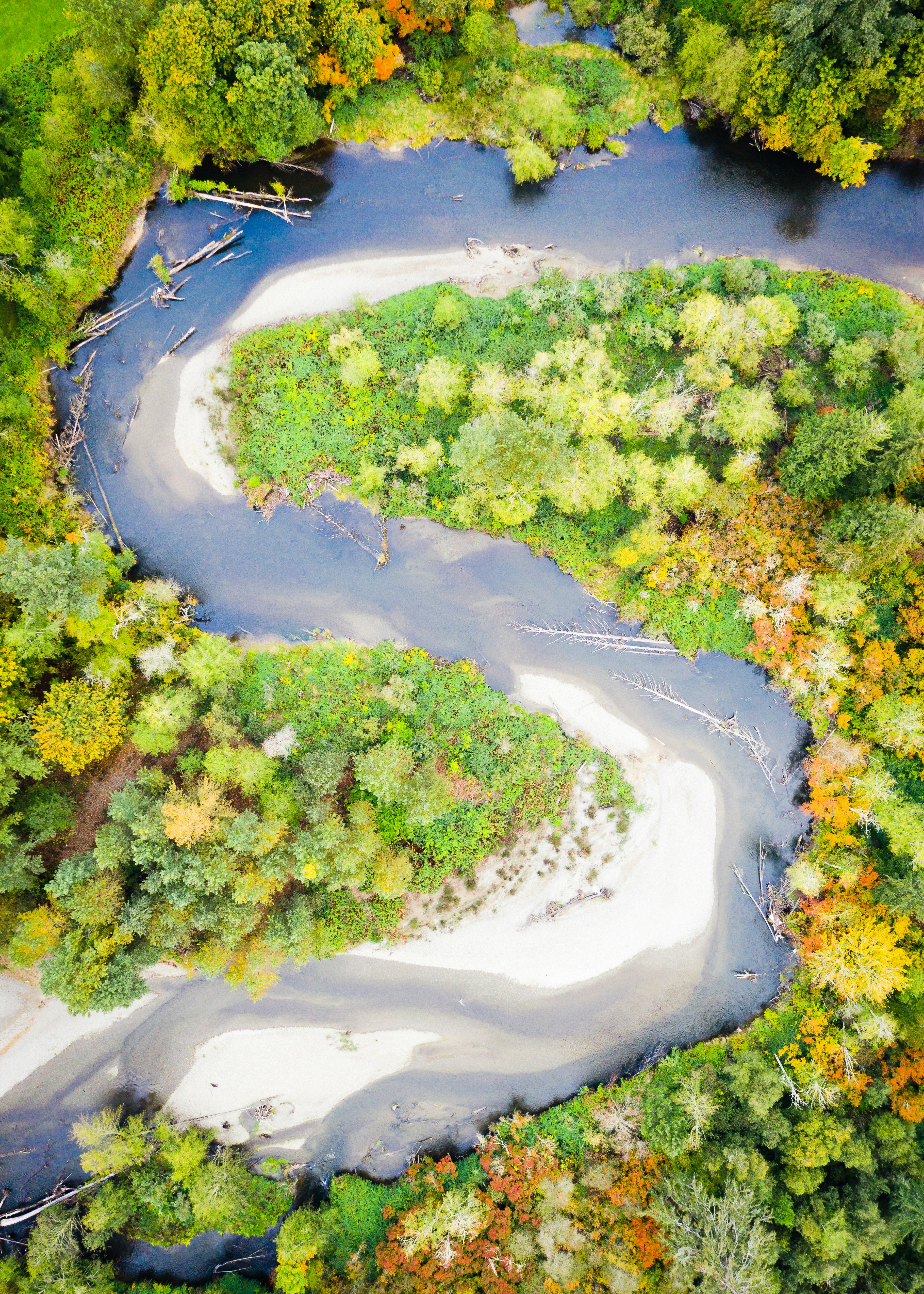 aerial photography of river surrounded by trees