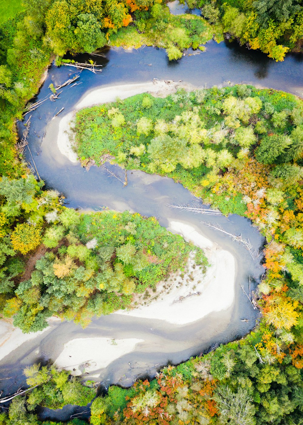 aerial photography of river surrounded by trees