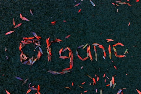 a group of red and orange streamers that spell out the word project