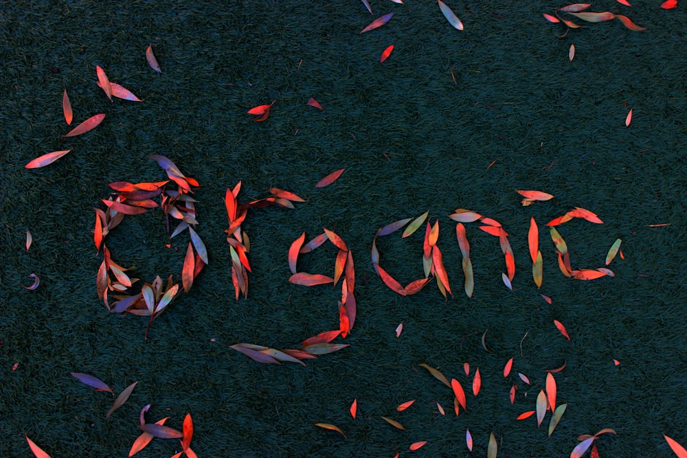 a group of red and orange streamers that spell out the word project