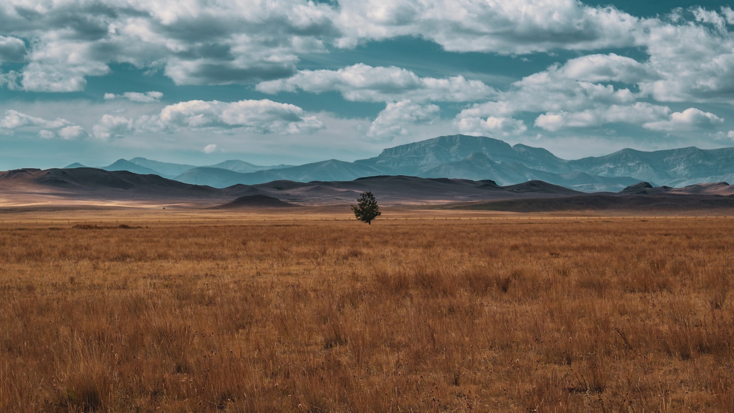 Restoring Elk Country-Little Snowy Mountains Montana