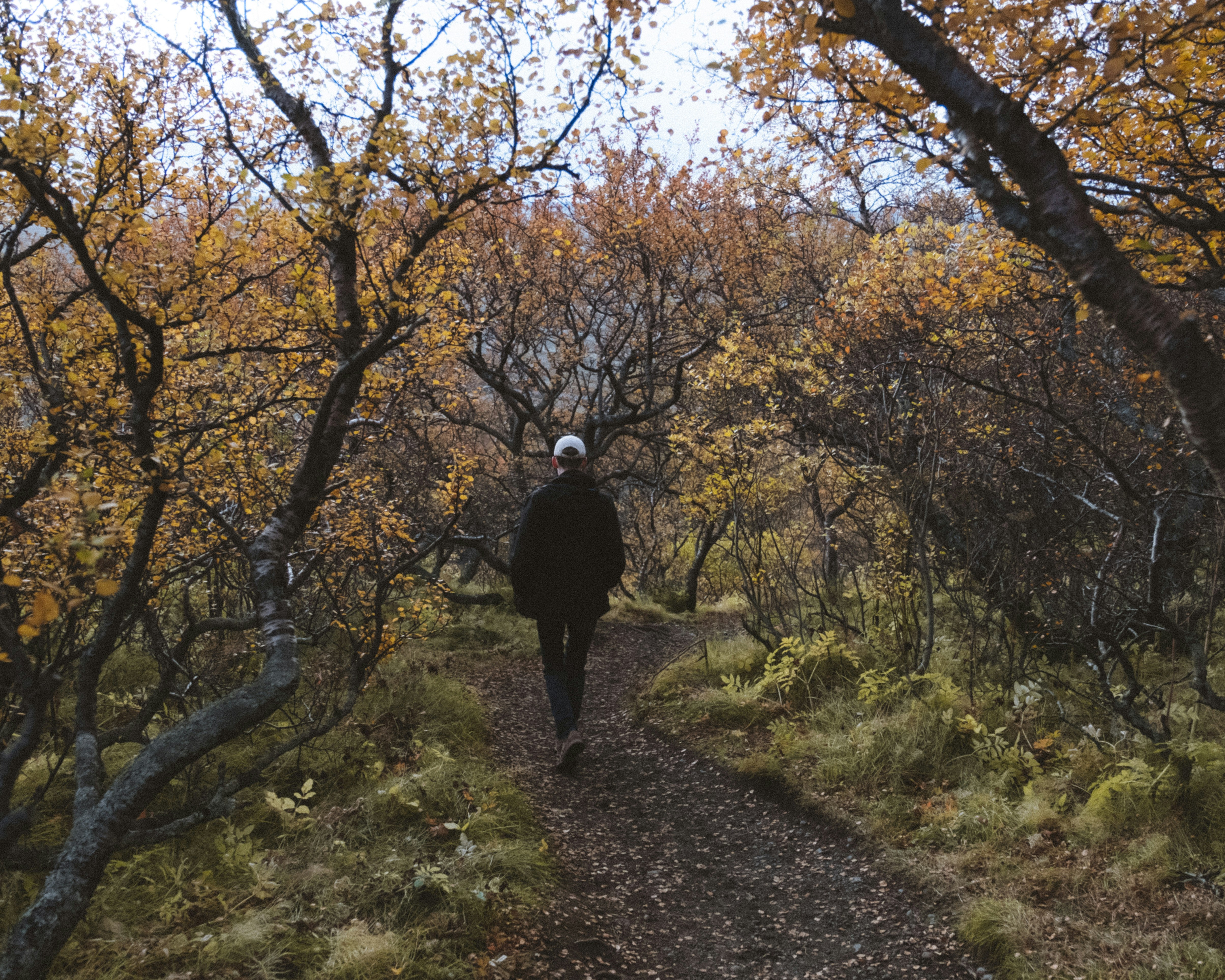 Photo by twentyonekoalas