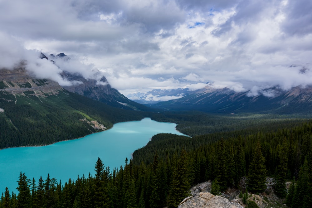 lake surrounded by trees