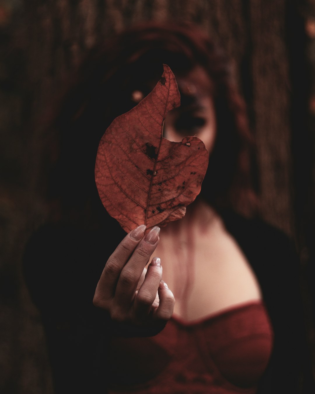 selective focus photography of person holding leaf