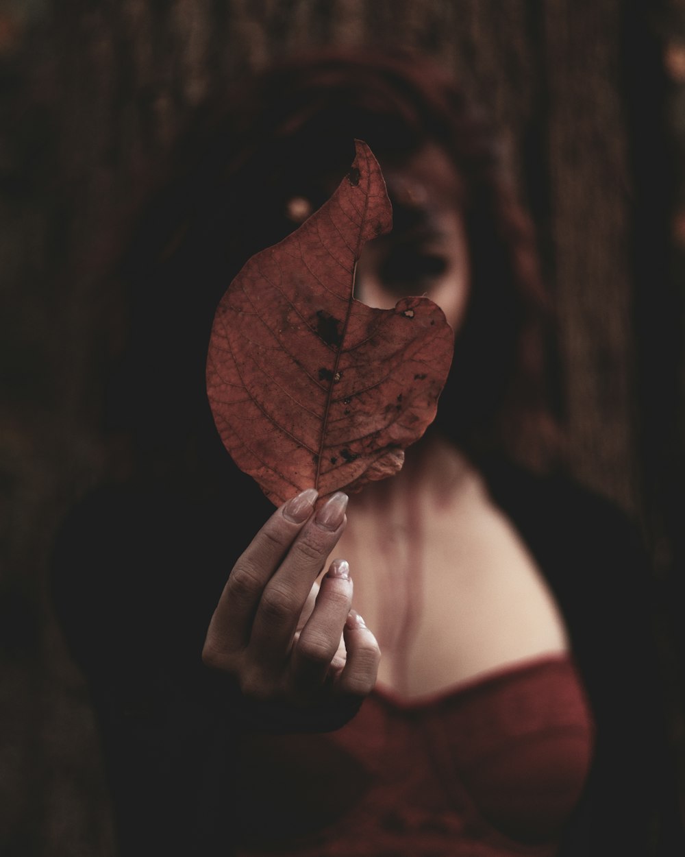 selective focus photography of person holding leaf