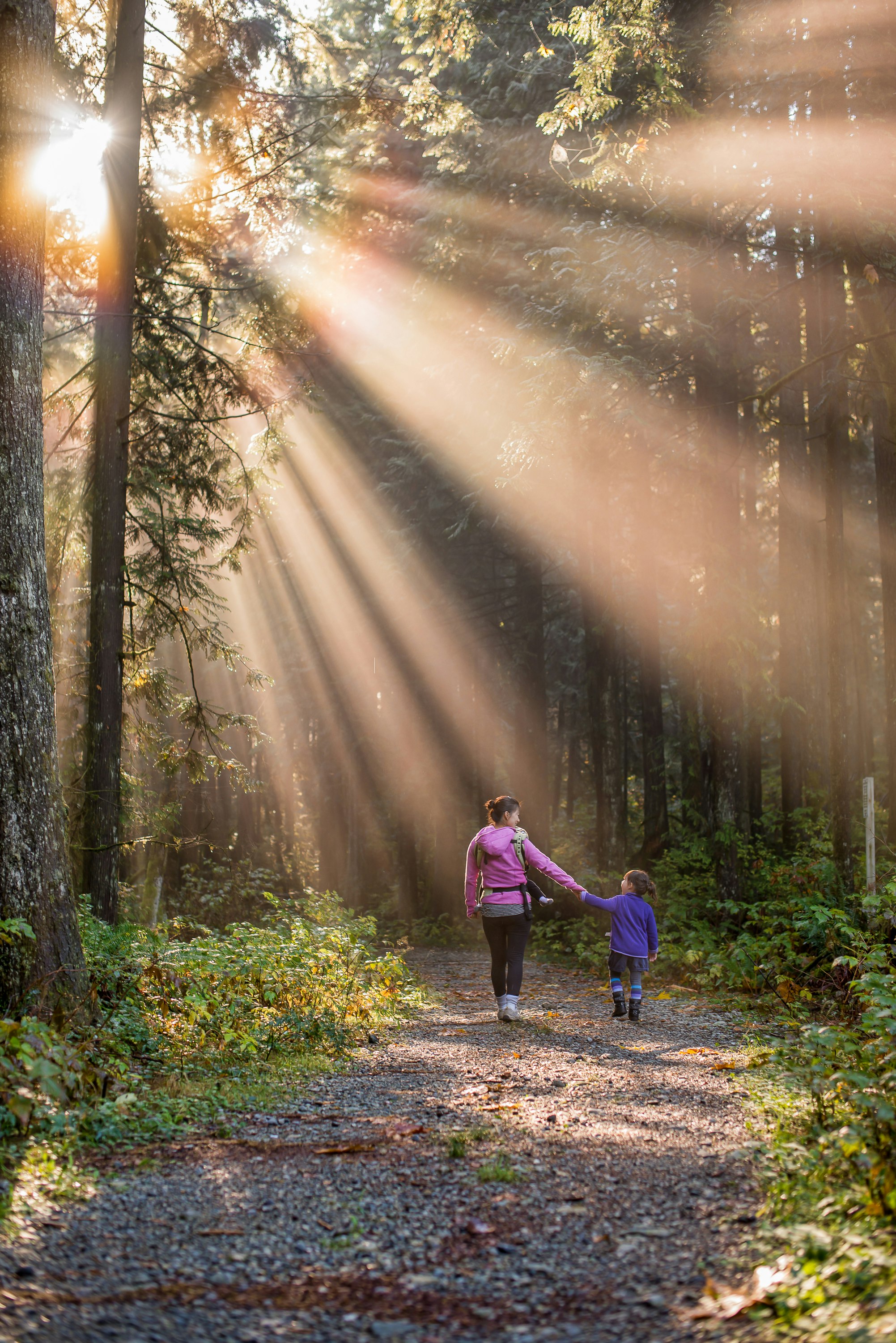 Sun rays beating down on mother and daughter walking in forest