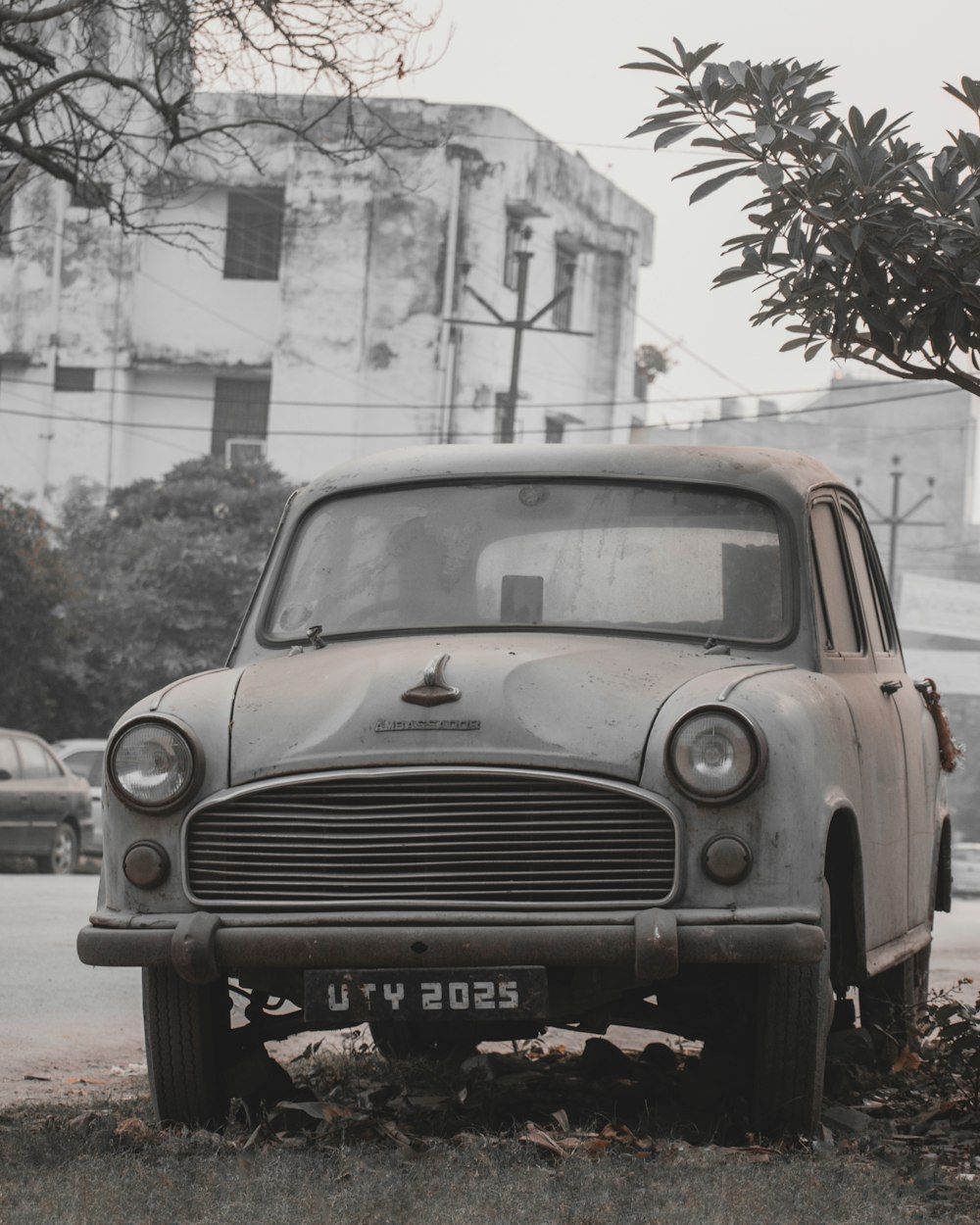 Ambassador Car Pictures | Download Free Images on Unsplash