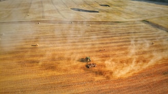 A tractor working on a vast farm field during golden hour.